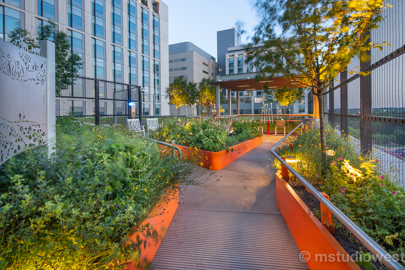 A rooftop garden was created for the Women & Infants moms-to-be and families