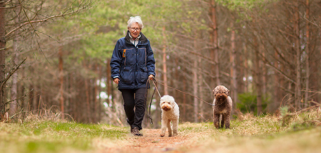 Elderly woman walking through a forest with two dogs
