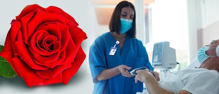 Rose Award marketing header - rose and nurse helping patient