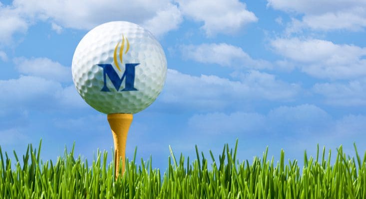 Memorial Hospital Foundation header golf ball on a tee on grass 
