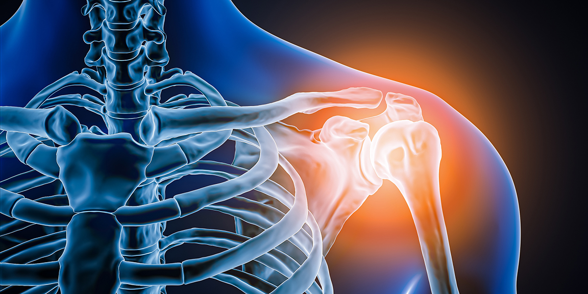 An animated x-ray graphic depicting the shoulder