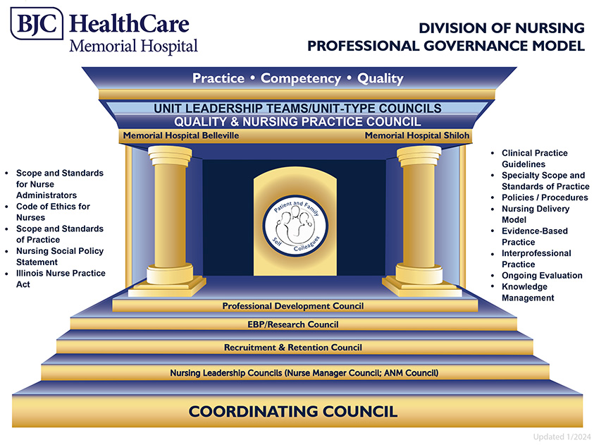 Division of Nursing graphic