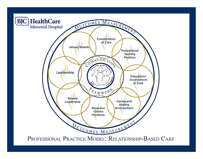 Professional practice model graphic